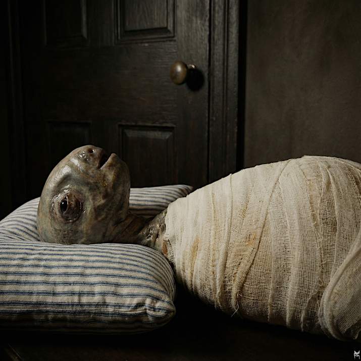 henry's baby from 'eraserhead' (a)